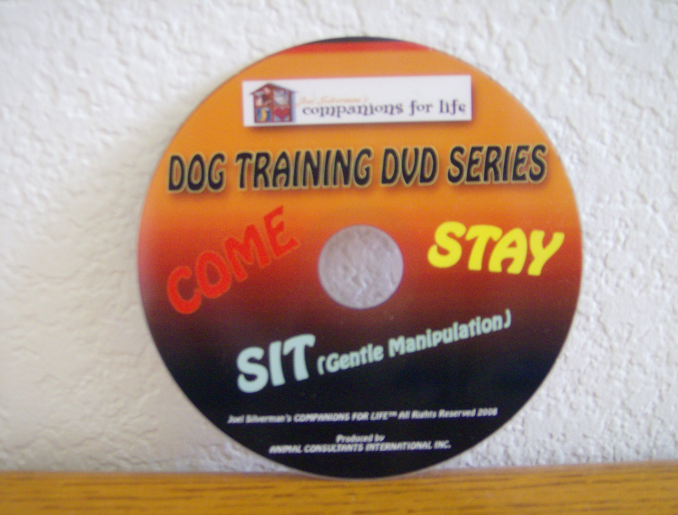 training your dog to sit and stay